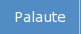 Palaute